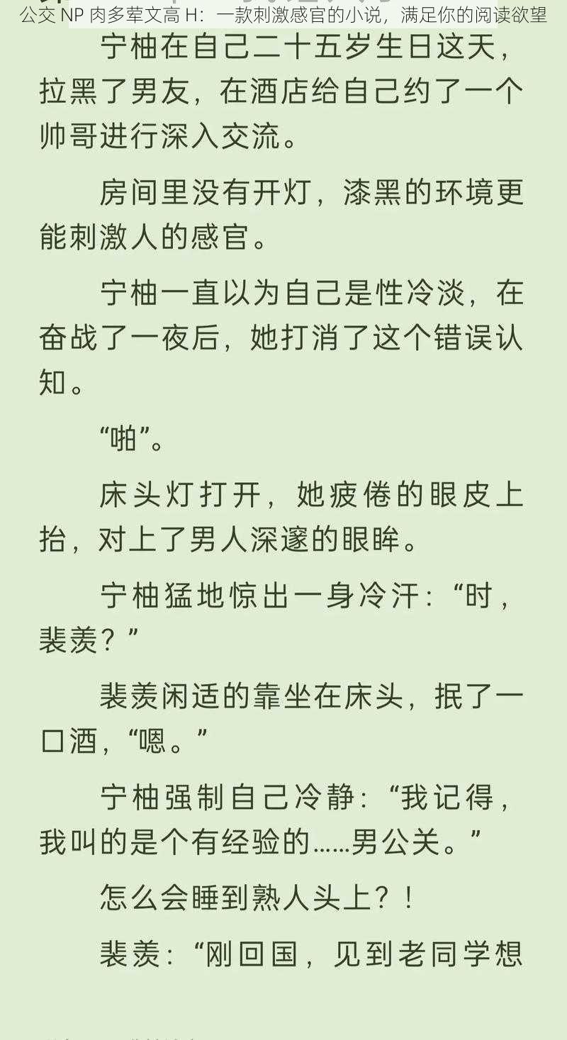 公交 NP 肉多荤文高 H：一款刺激感官的小说，满足你的阅读欲望