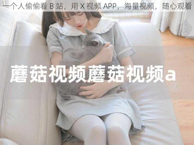 一个人偷偷看 B 站，用 X 视频 APP，海量视频，随心观看