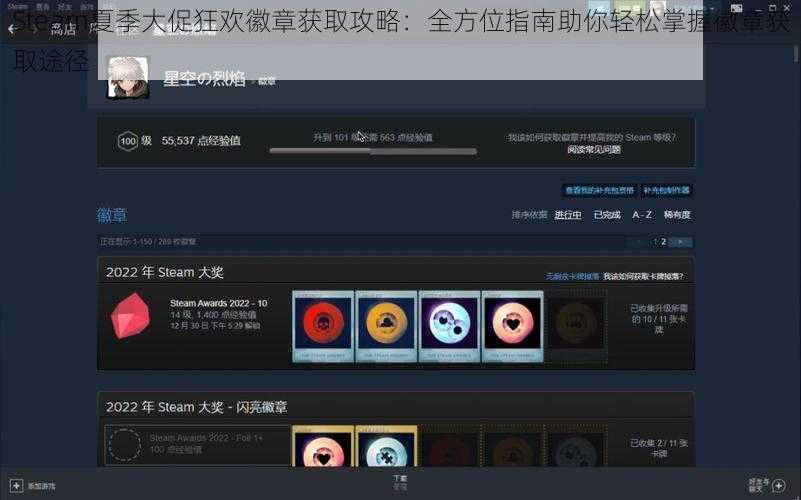 Steam夏季大促狂欢徽章获取攻略：全方位指南助你轻松掌握徽章获取途径