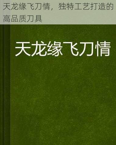 天龙缘飞刀情，独特工艺打造的高品质刀具