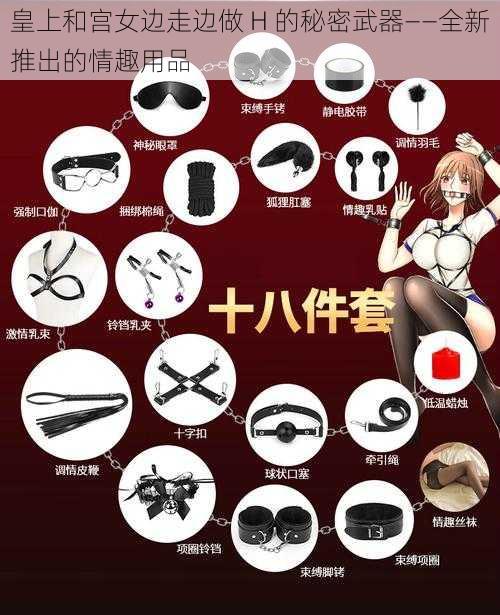 皇上和宫女边走边做 H 的秘密武器——全新推出的情趣用品