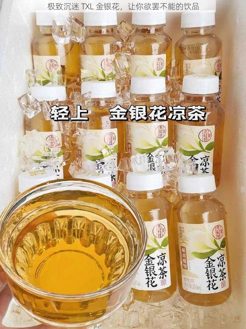 极致沉迷 TXL 金银花，让你欲罢不能的饮品