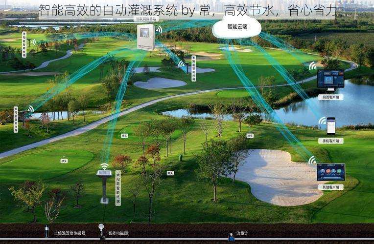 智能高效的自动灌溉系统 by 常，高效节水，省心省力