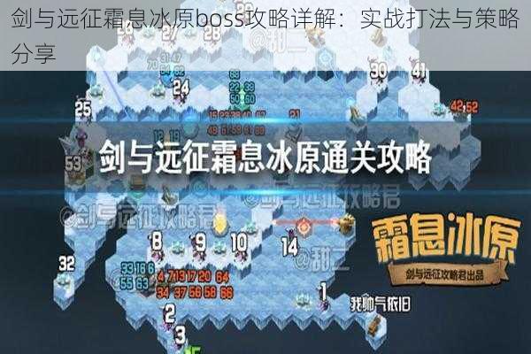 剑与远征霜息冰原boss攻略详解：实战打法与策略分享