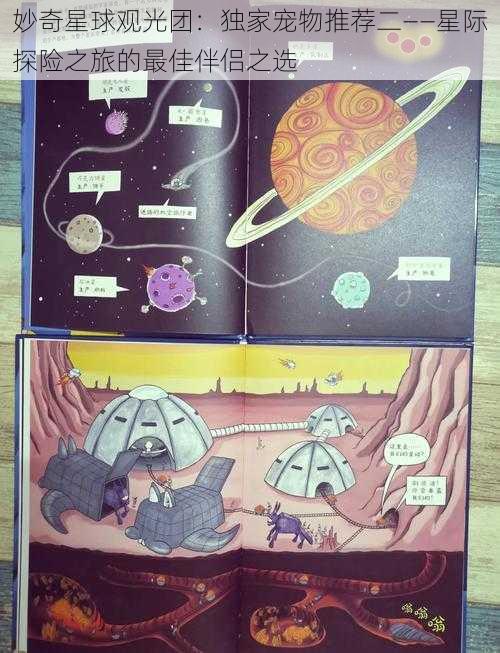 妙奇星球观光团：独家宠物推荐二——星际探险之旅的最佳伴侣之选