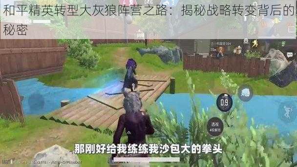 和平精英转型大灰狼阵营之路：揭秘战略转变背后的秘密