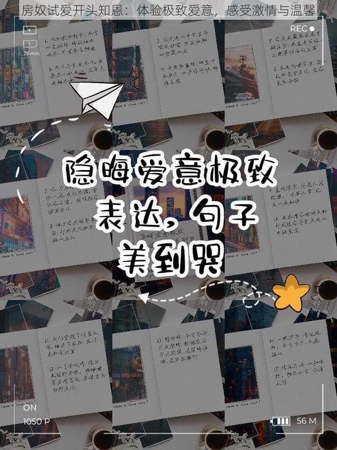 房奴试爱开头知恩：体验极致爱意，感受激情与温馨