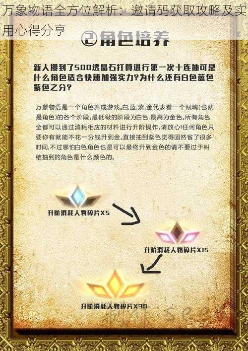 万象物语全方位解析：邀请码获取攻略及实用心得分享