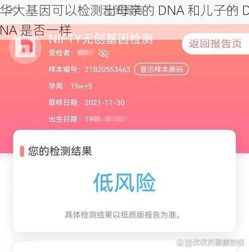 华大基因可以检测出母亲的 DNA 和儿子的 DNA 是否一样