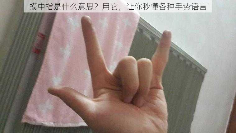 摸中指是什么意思？用它，让你秒懂各种手势语言