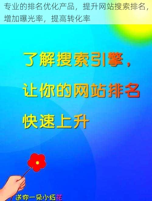 专业的排名优化产品，提升网站搜索排名，增加曝光率，提高转化率