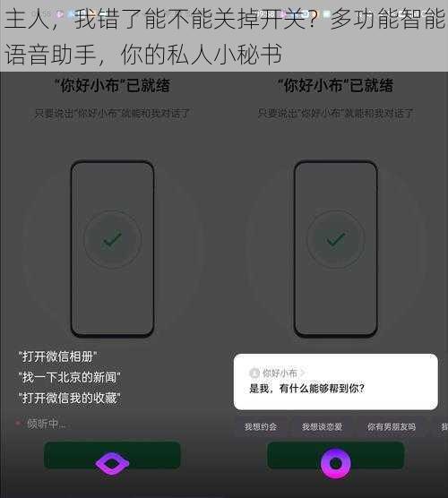 主人，我错了能不能关掉开关？多功能智能语音助手，你的私人小秘书