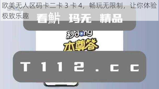 欧美无人区码卡二卡 3 卡 4，畅玩无限制，让你体验极致乐趣