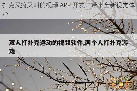 扑克又疼又叫的视频 APP 开发，带来全新视觉体验