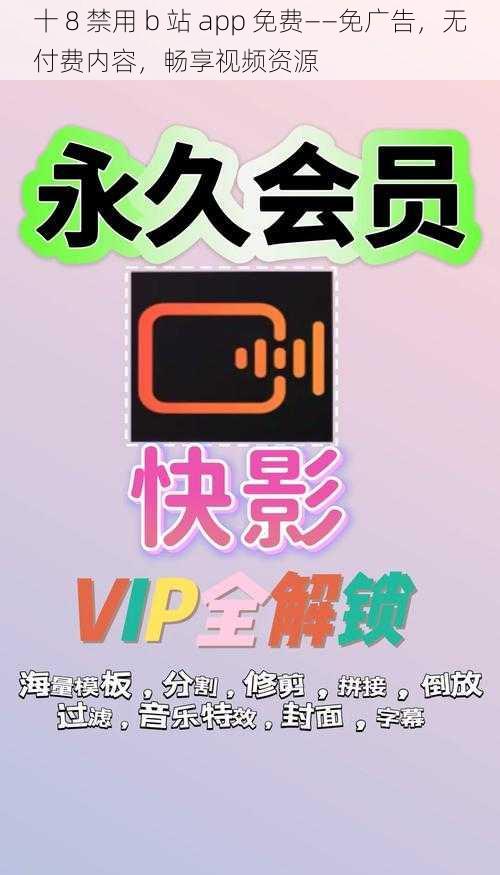 十 8 禁用 b 站 app 免费——免广告，无付费内容，畅享视频资源