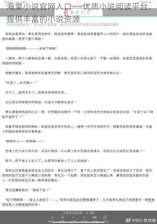 海棠小说官网入口——优质小说阅读平台，提供丰富的小说资源