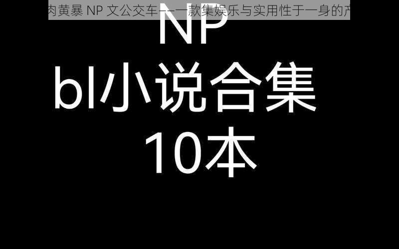 高肉黄暴 NP 文公交车——一款集娱乐与实用性于一身的产品