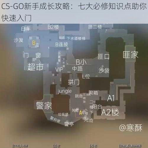 CS-GO新手成长攻略：七大必修知识点助你快速入门