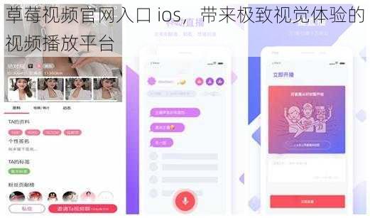 草莓视频官网入口 ios，带来极致视觉体验的视频播放平台