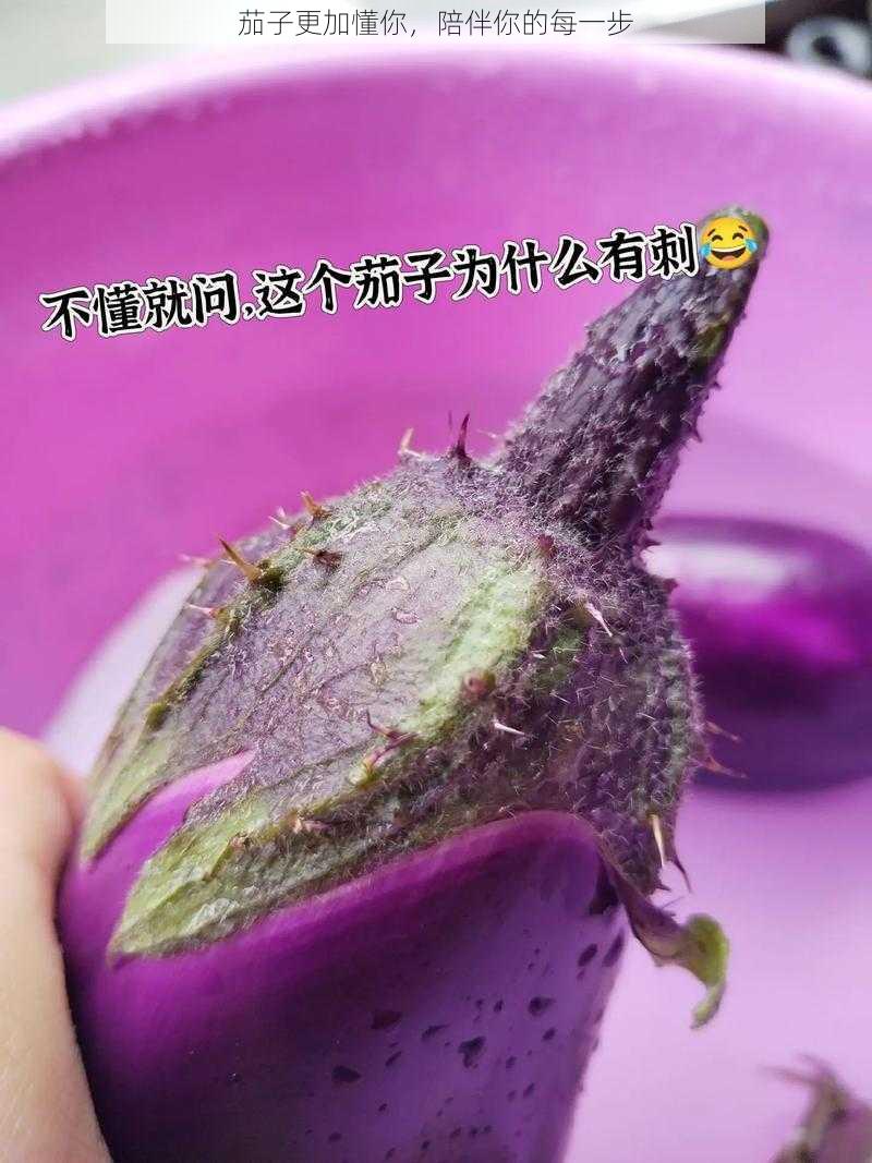 茄子更加懂你，陪伴你的每一步