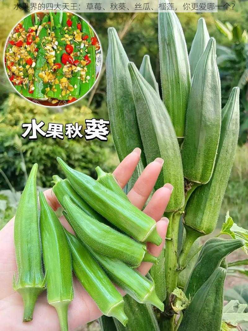 水果界的四大天王：草莓、秋葵、丝瓜、榴莲，你更爱哪一个？