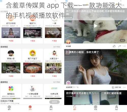 含羞草传媒黄 app 下载——一款功能强大的手机视频播放软件