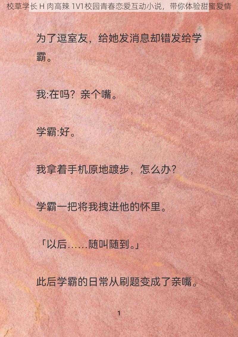 校草学长 H 肉高辣 1V1校园青春恋爱互动小说，带你体验甜蜜爱情