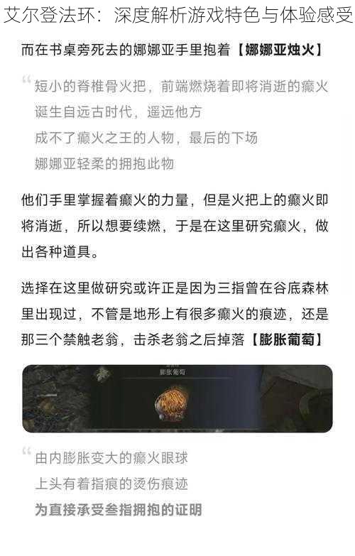 艾尔登法环：深度解析游戏特色与体验感受