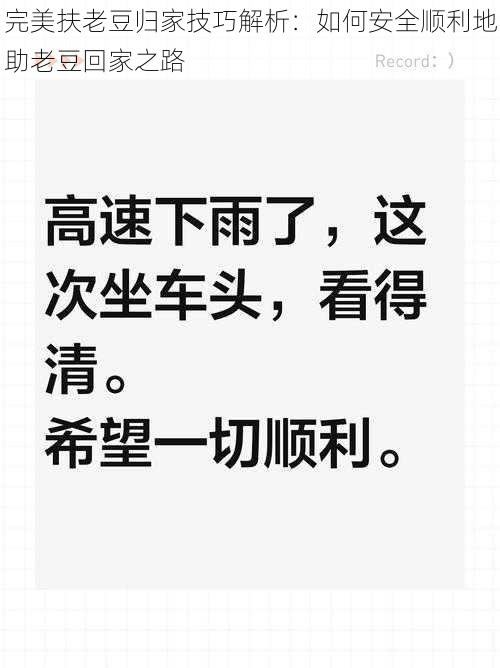 完美扶老豆归家技巧解析：如何安全顺利地助老豆回家之路