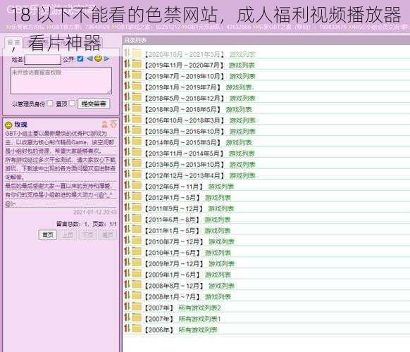 18 以下不能看的色禁网站，成人福利视频播放器，看片神器