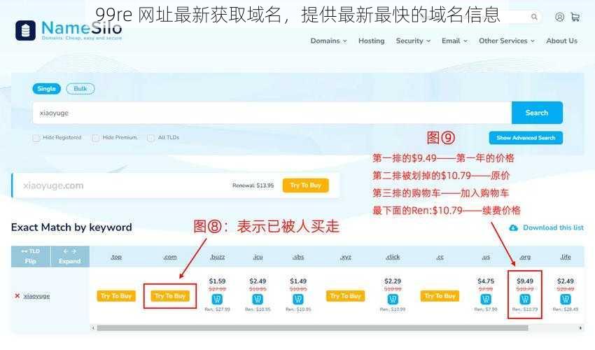 99re 网址最新获取域名，提供最新最快的域名信息