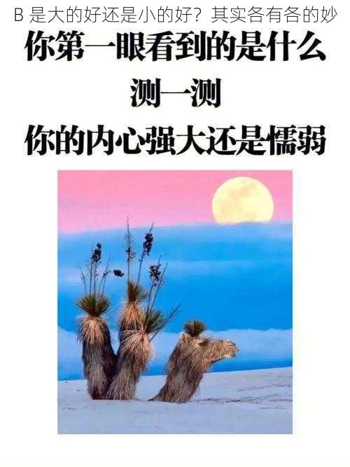 B 是大的好还是小的好？其实各有各的妙