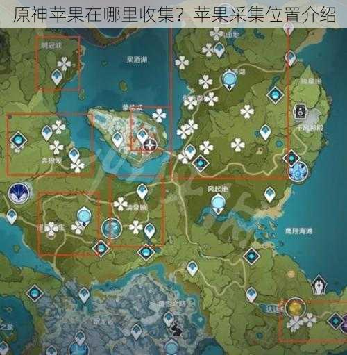 原神苹果在哪里收集？苹果采集位置介绍