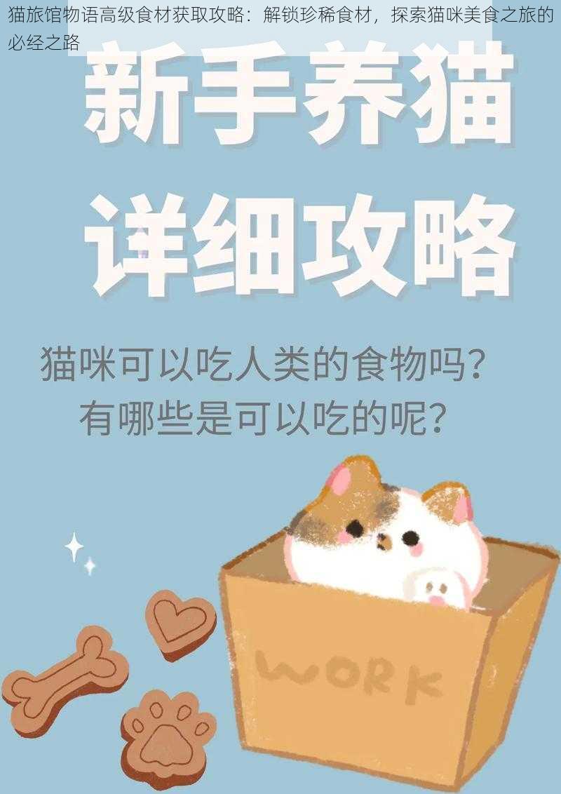 猫旅馆物语高级食材获取攻略：解锁珍稀食材，探索猫咪美食之旅的必经之路