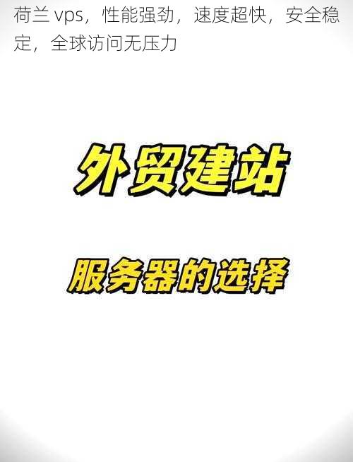 荷兰 vps，性能强劲，速度超快，安全稳定，全球访问无压力