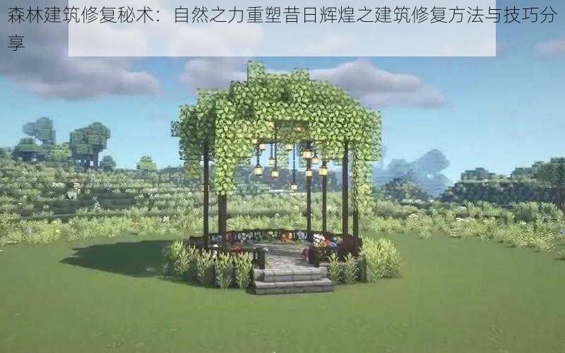 森林建筑修复秘术：自然之力重塑昔日辉煌之建筑修复方法与技巧分享