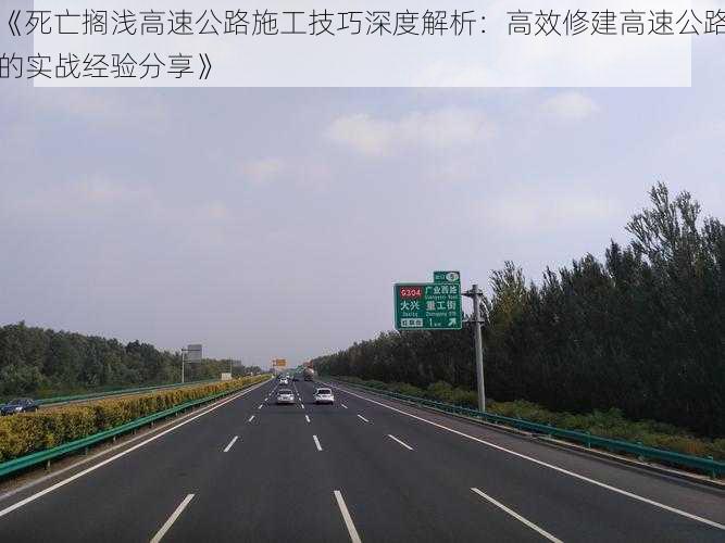 《死亡搁浅高速公路施工技巧深度解析：高效修建高速公路的实战经验分享》