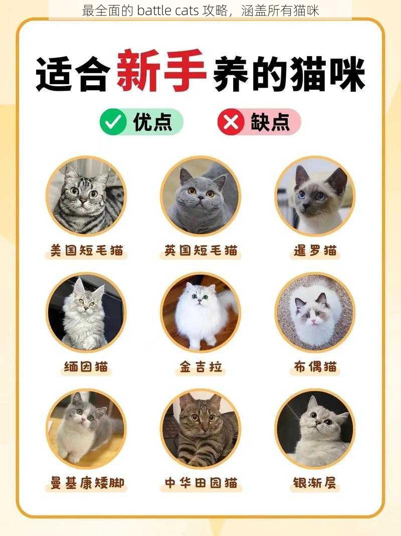 最全面的 battle cats 攻略，涵盖所有猫咪