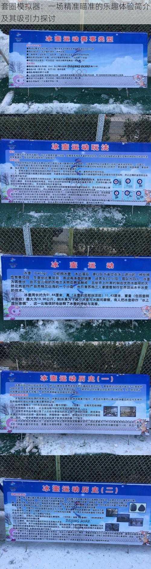 套圈模拟器：一场精准瞄准的乐趣体验简介及其吸引力探讨