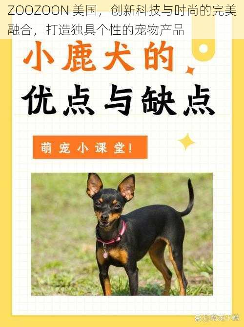 ZOOZOON 美国，创新科技与时尚的完美融合，打造独具个性的宠物产品