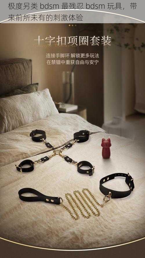 极度另类 bdsm 最残忍 bdsm 玩具，带来前所未有的刺激体验