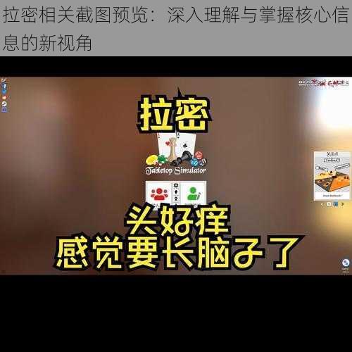 拉密相关截图预览：深入理解与掌握核心信息的新视角