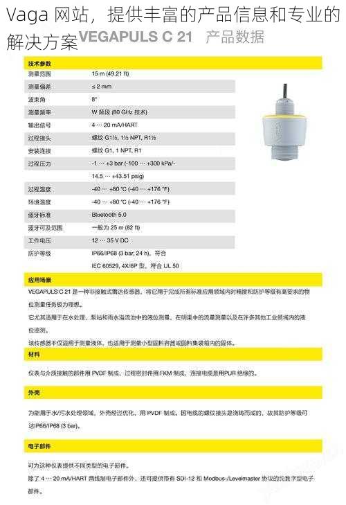 Vaga 网站，提供丰富的产品信息和专业的解决方案