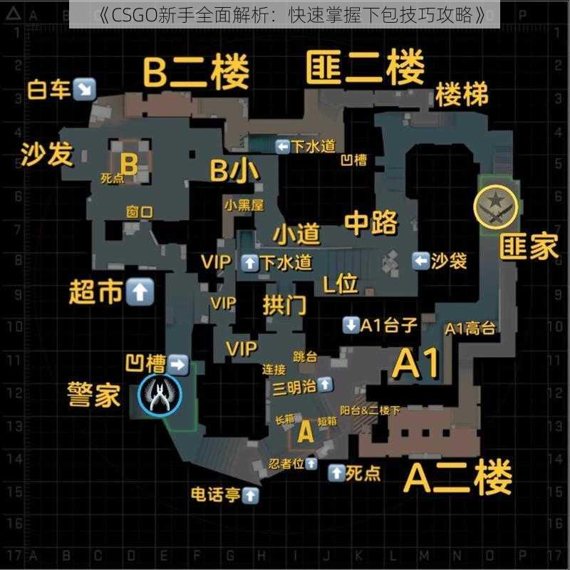 《CSGO新手全面解析：快速掌握下包技巧攻略》