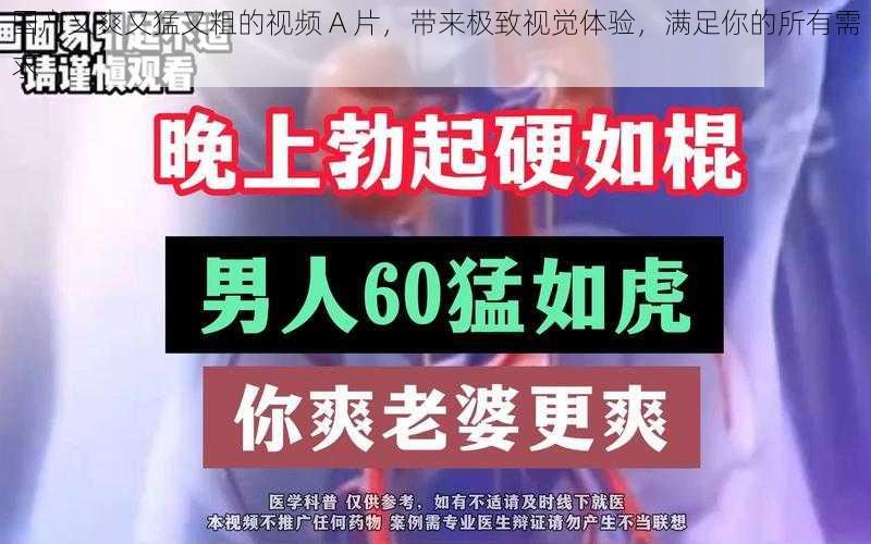 国产又爽又猛又粗的视频 A 片，带来极致视觉体验，满足你的所有需求