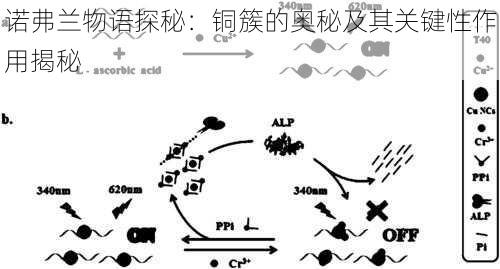 诺弗兰物语探秘：铜簇的奥秘及其关键性作用揭秘