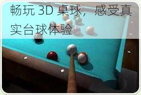 畅玩 3D 桌球，感受真实台球体验