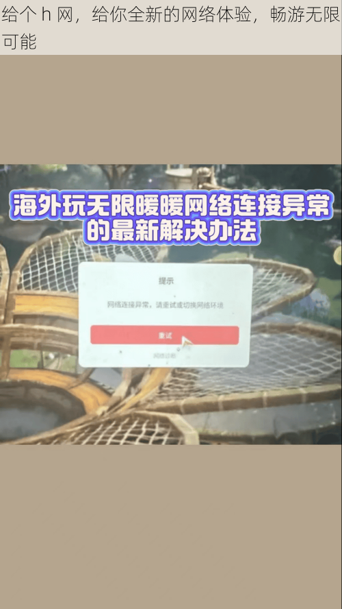 给个 h 网，给你全新的网络体验，畅游无限可能