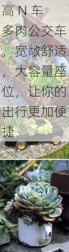 高 N 车多肉公交车，宽敞舒适，大容量座位，让你的出行更加便捷