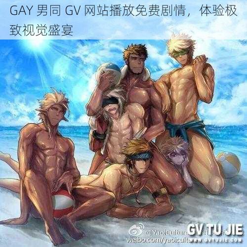 GAY 男同 GV 网站播放免费剧情，体验极致视觉盛宴